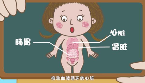 国内最全的儿童性教育动画 共17集 免费领 娃缺的性教育 这部动画片全补上 知乎