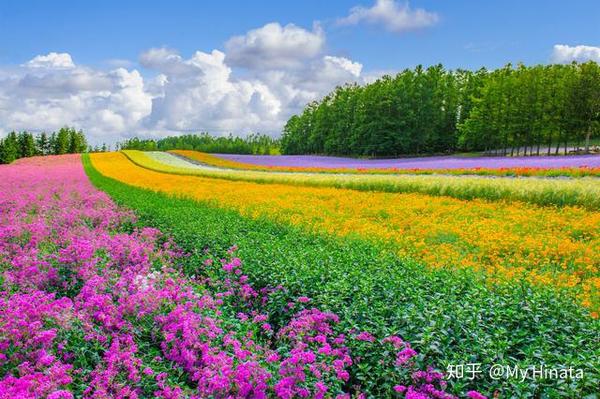 北海道旅行图鉴 知乎