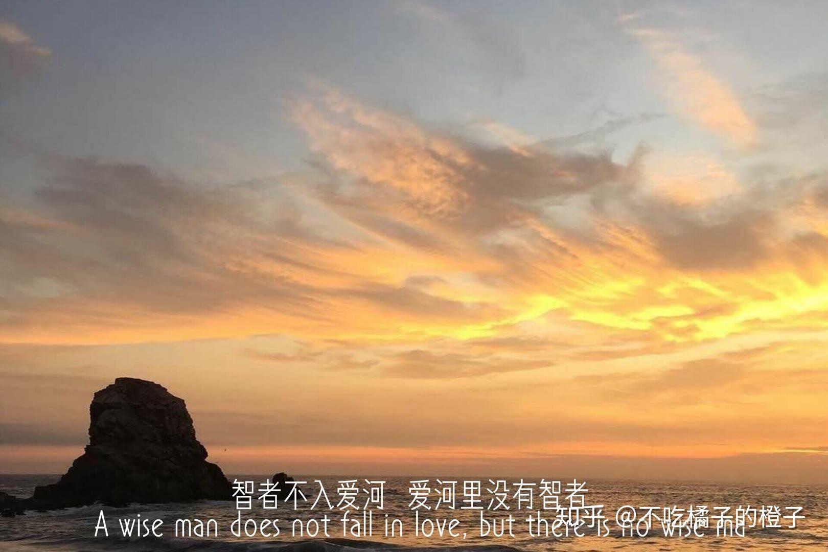 智者不入爱河  爱河里没有智者能治愈你的从来不是时间  而是明白多做