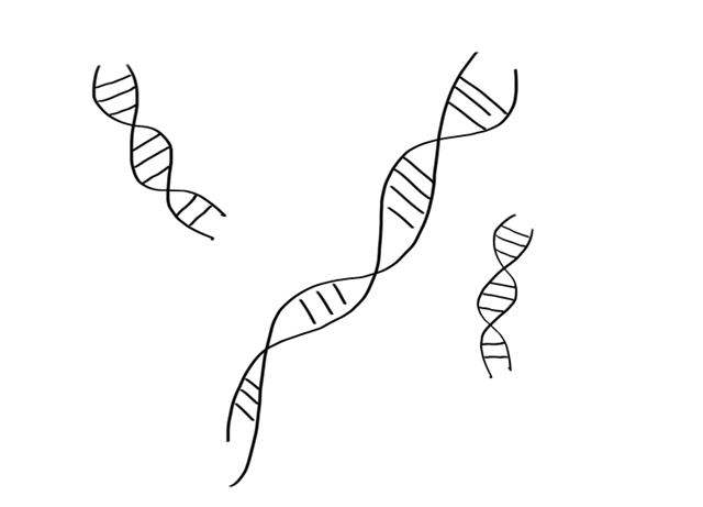 基因检测到底是智商税还是黑科技