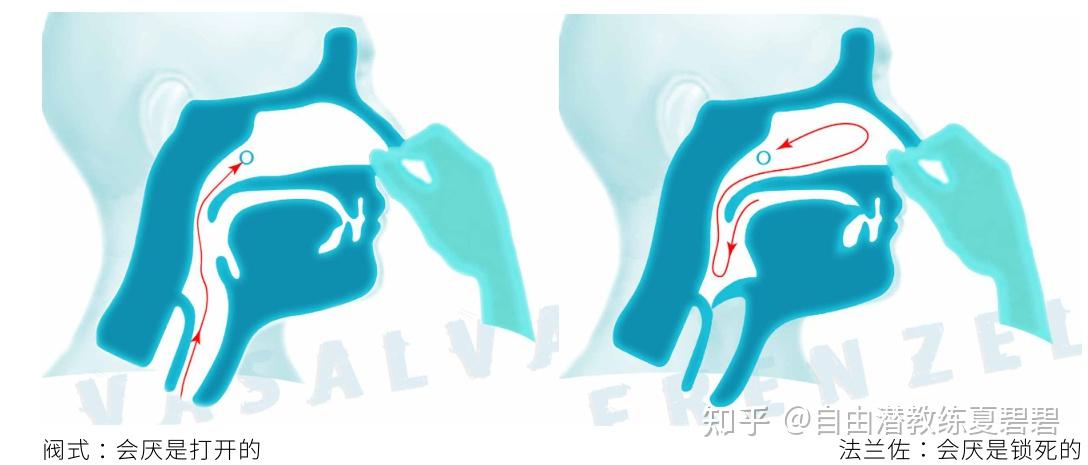 自由潜水btv原理及做法