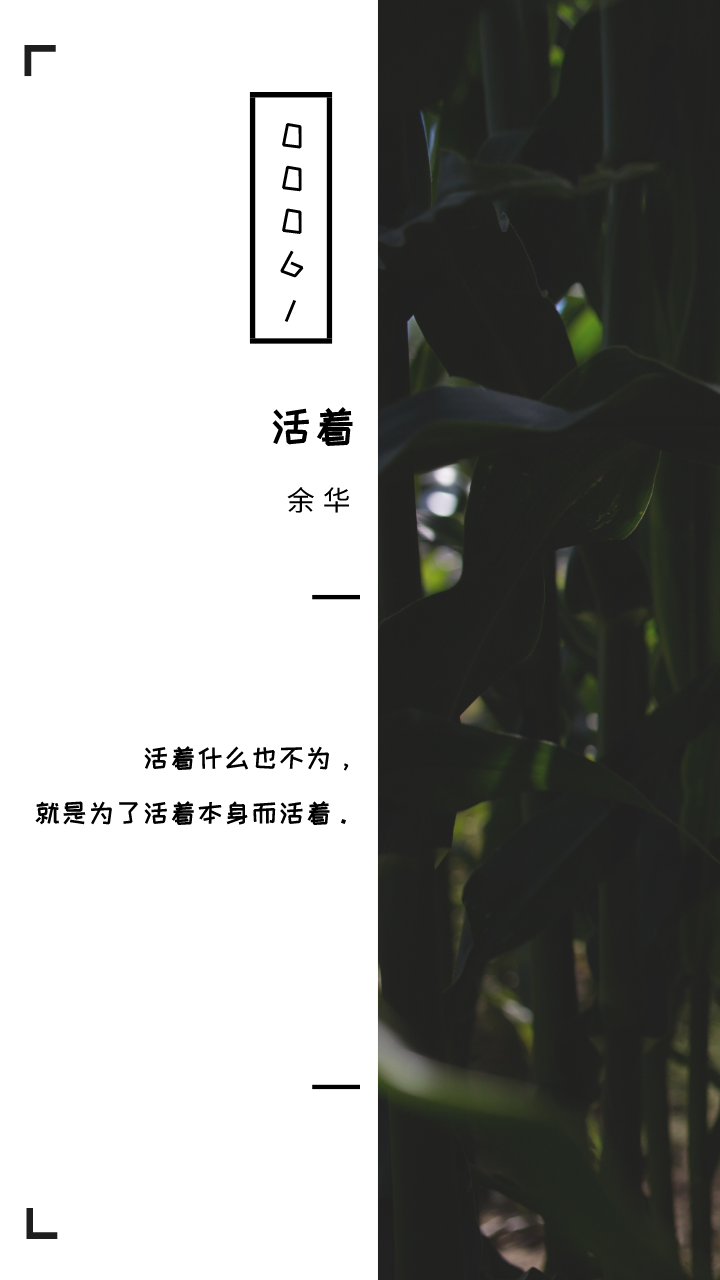 《活着》经典语录,书摘壁纸 - 知乎