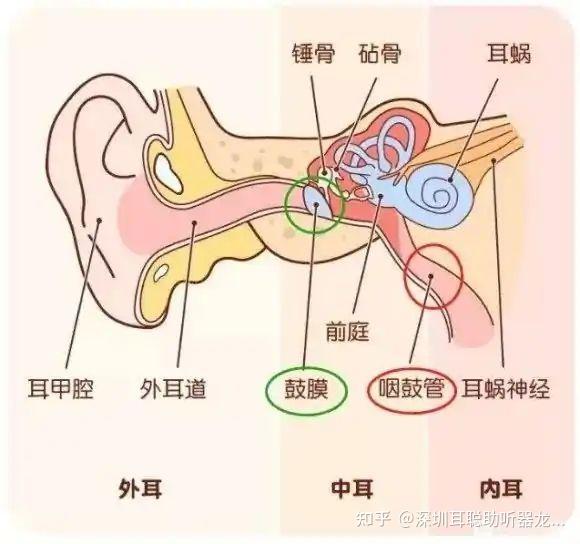 醫學上,人體由前庭系統icon,本體感覺系統和視覺系統相互作用,最後