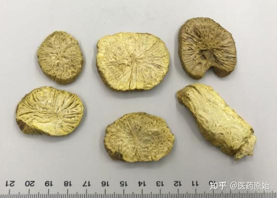 金果榄饮片金果榄药材金果榄药材【性状】本品呈不规则圆块状,长5～10