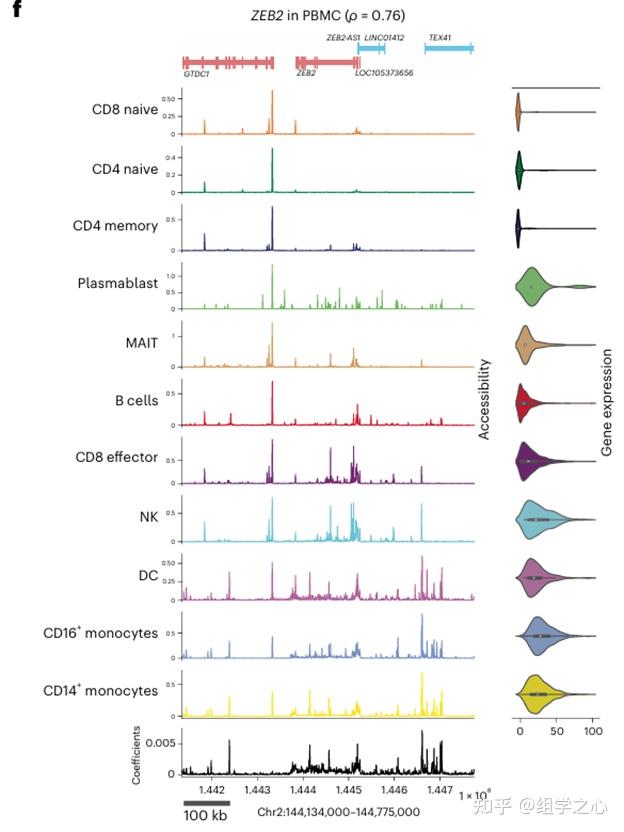 nature genetics | scATAC-seq预测scRNA-seq,识别影响基因表达的新染色质区域 - 知乎