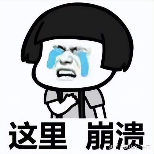 有娃家庭首选!看科沃斯T90 PRO如何通过“德智体美劳”全面考察