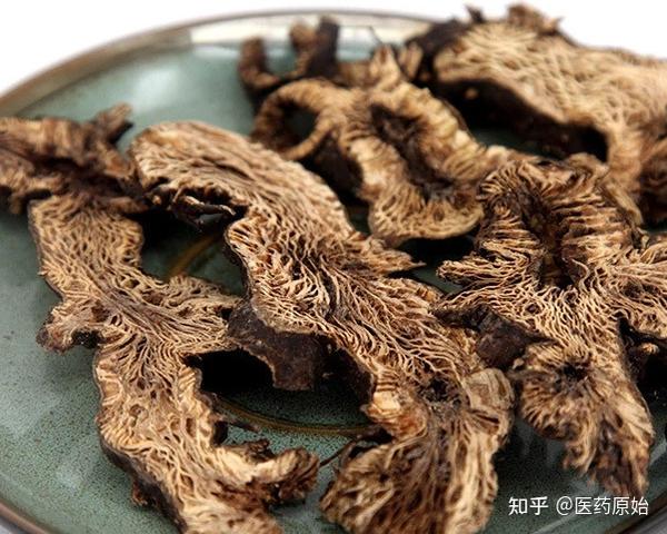带你识别升麻 - 知乎