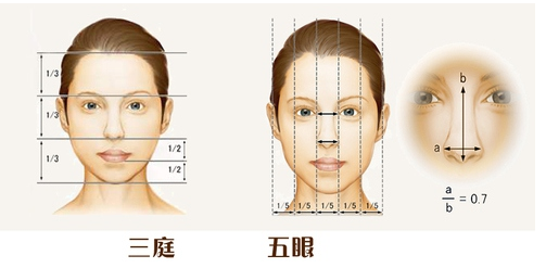 人们口中的五官端正是什么样子的？ - 知乎