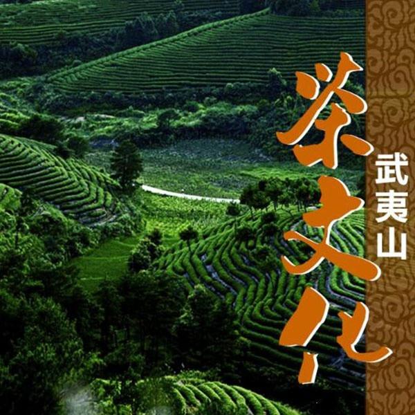 第七部:《武夷山茶文化》它分为两集,分别是武夷问茶和万里茶路,系统