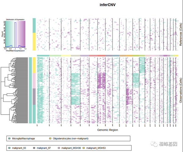 SCS【16】从肿瘤单细胞RNA-Seq数据中推断拷贝数变化 (inferCNV) - 知乎
