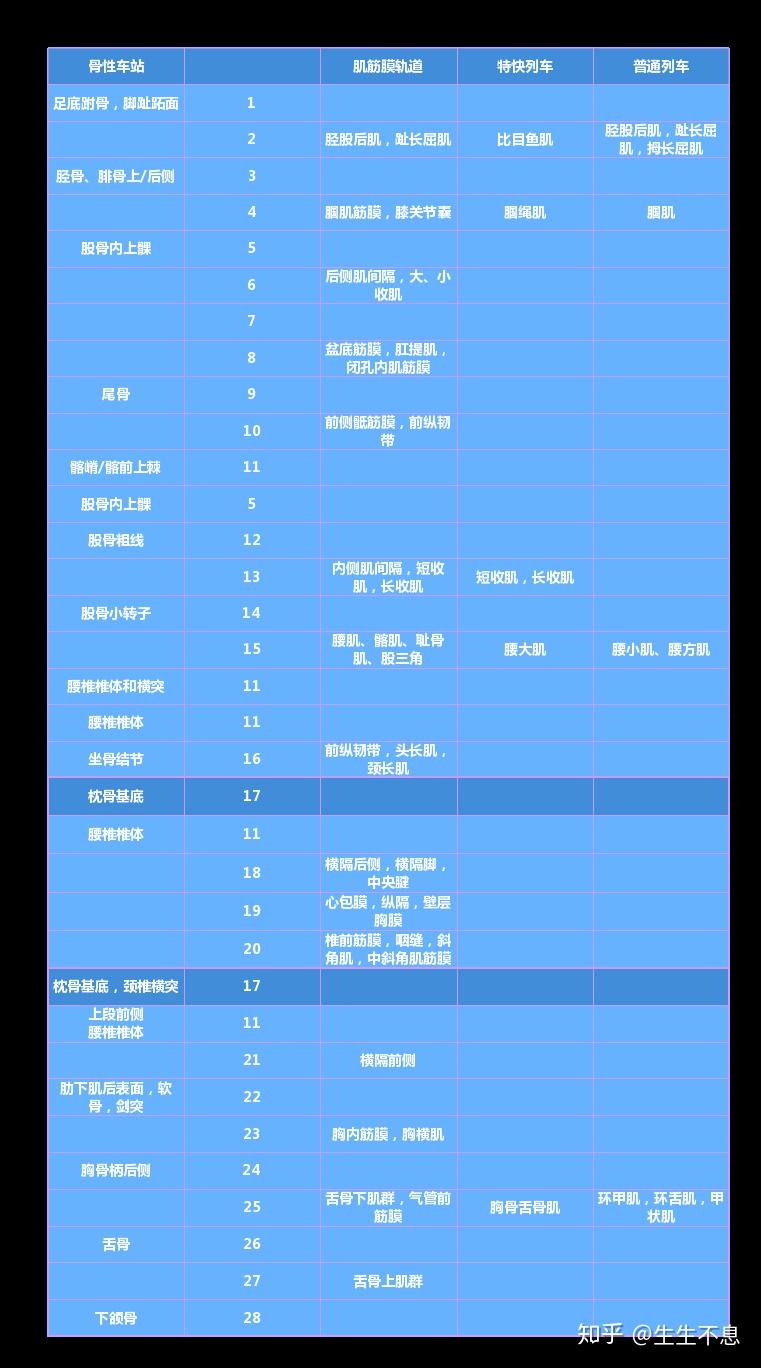 “脐”始亦是终 +=《深入浅出筋膜学》=>前深线理论篇（I） - 知乎