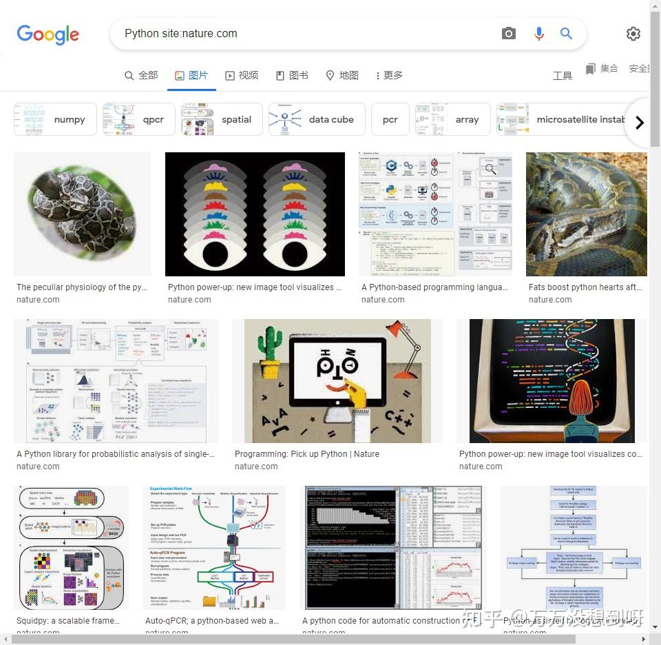 google图片搜索 - 知乎