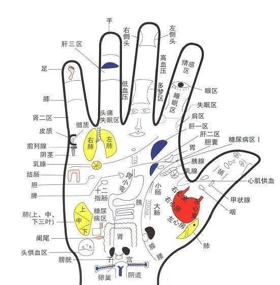 详细手诊汇总 - 知乎