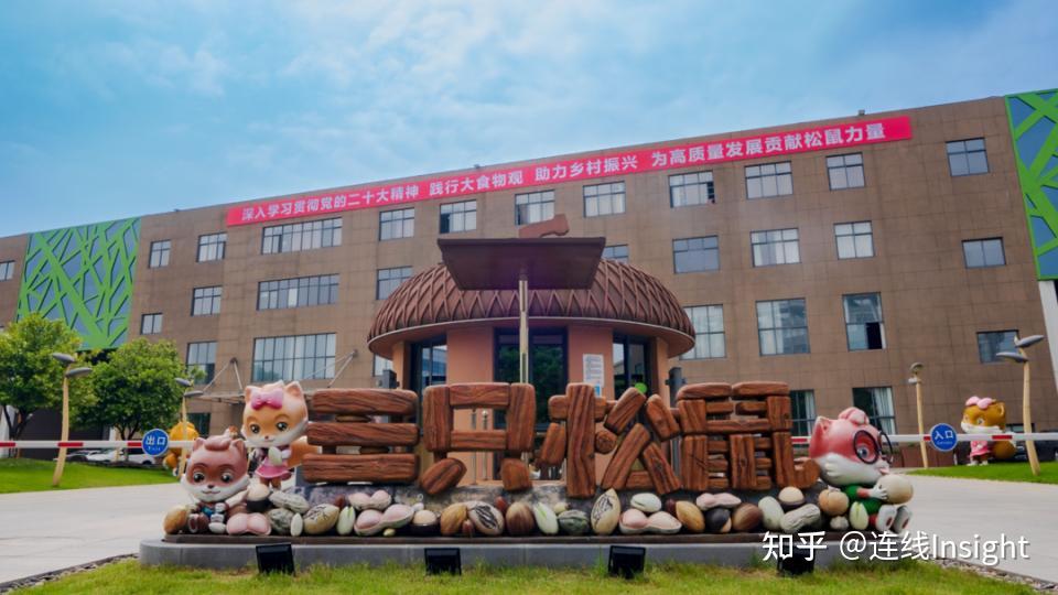 三只松鼠潘道伟用好一道认知公式营收重回百亿