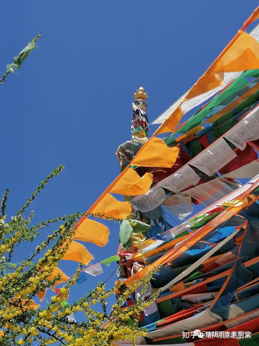 冈仁波齐朝圣记之三青朴