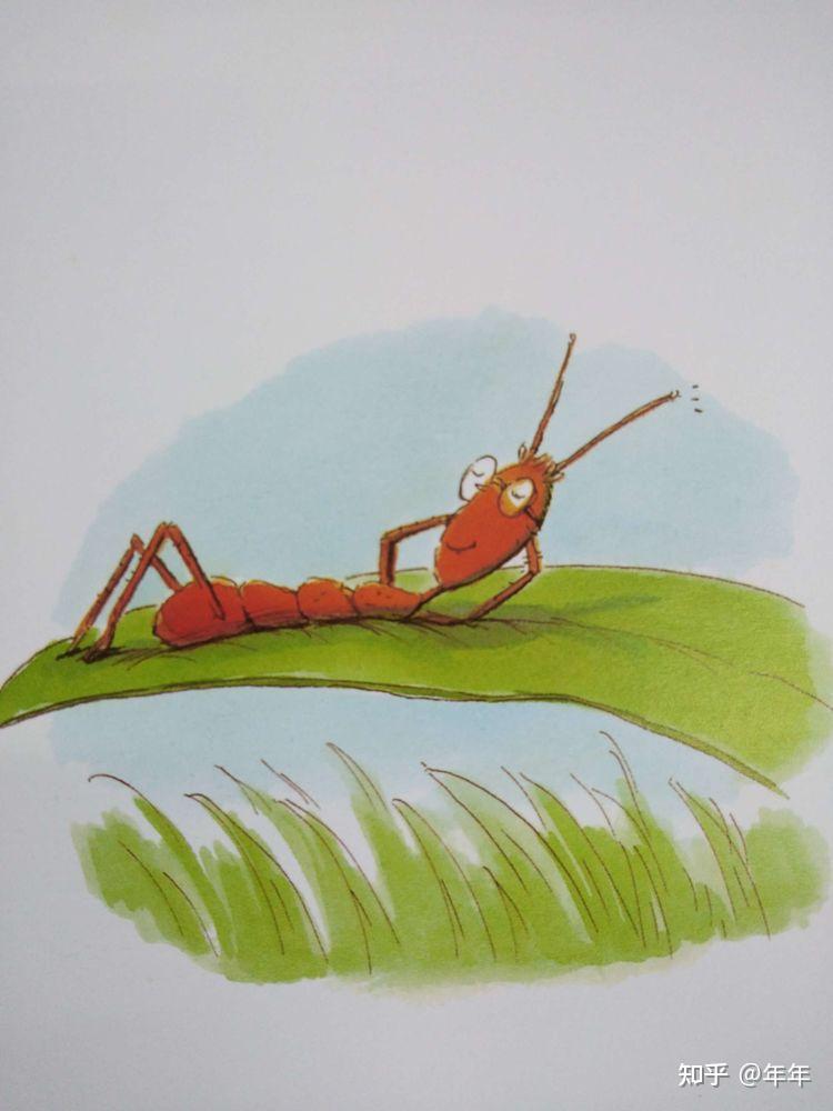 绘本导读系列45喂小蚂蚁