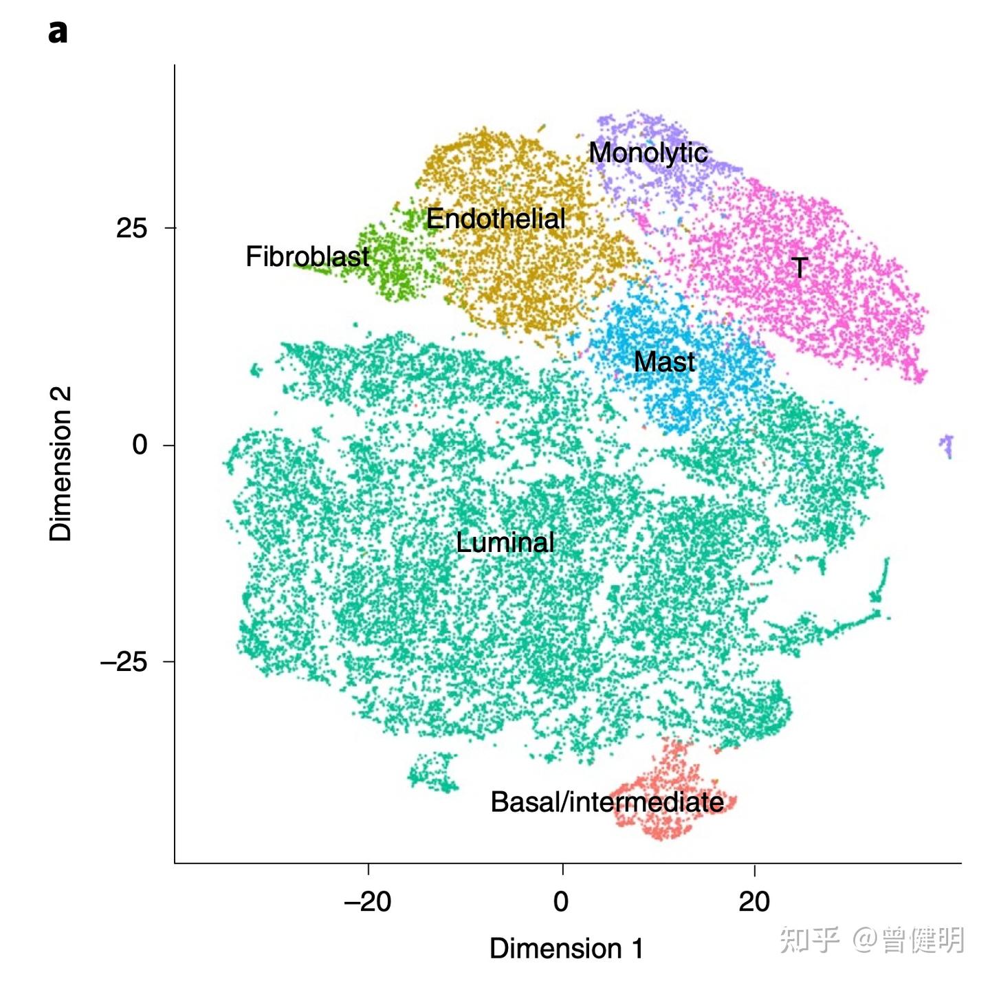 umap的单细胞可视化效果比tSNE好 - 知乎