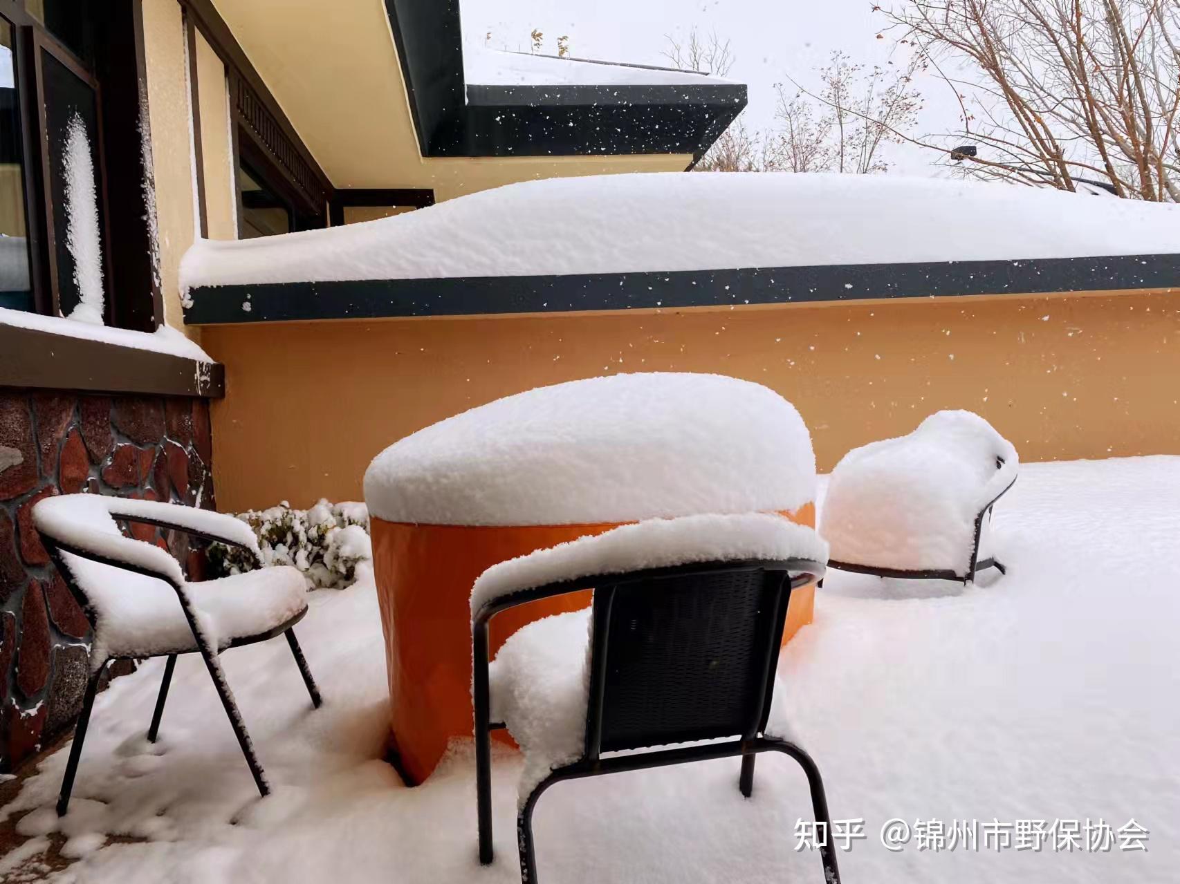 東方華地城冰雪大世界就快開了你期待嗎