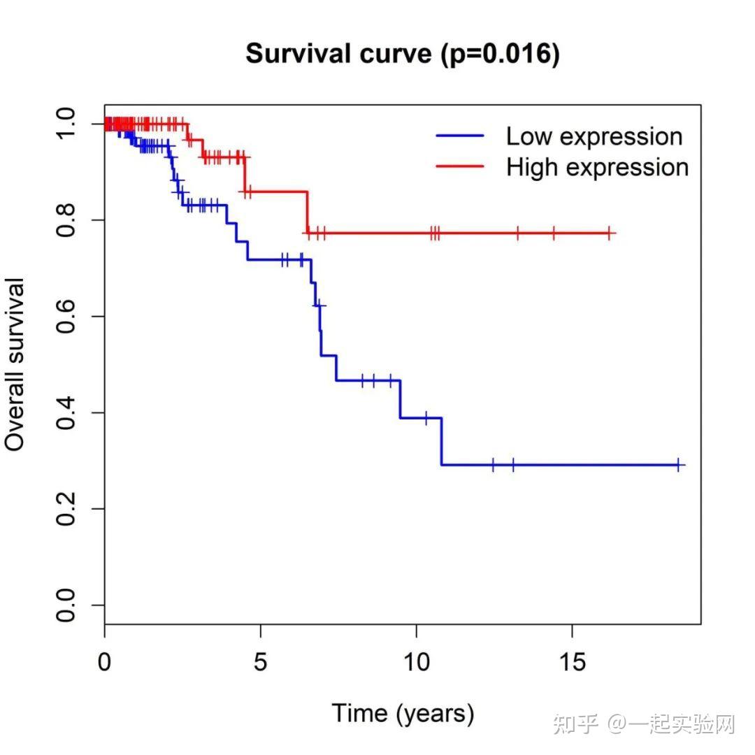 生信分析——kaplan–meier 生存曲线图 - 知乎