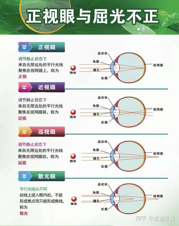 v2-ff2c0c4b517d1aea9263723bc9246e2e_r.jpg