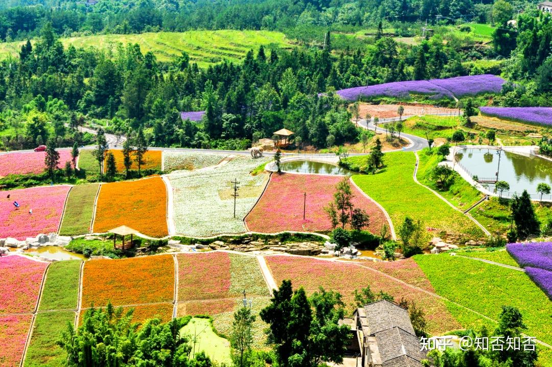 春花秋月,夏风冬雪,带你领略万州凤凰花果山四季之美!