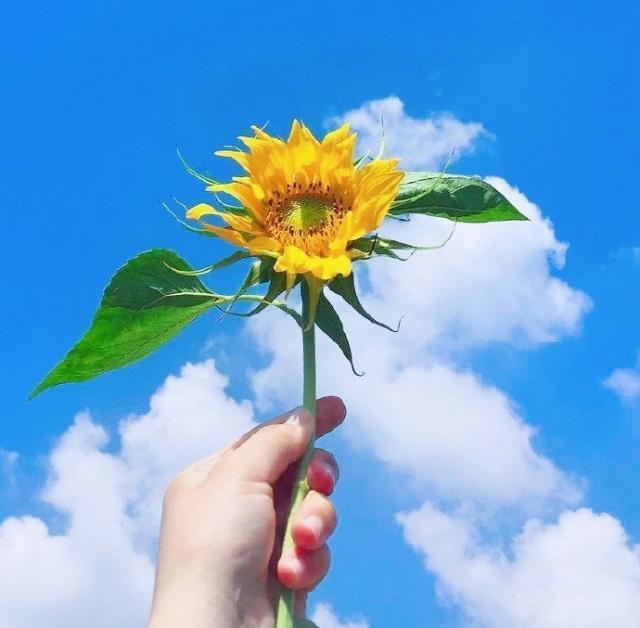 正能量人生哲理的句子句句经典发人深省