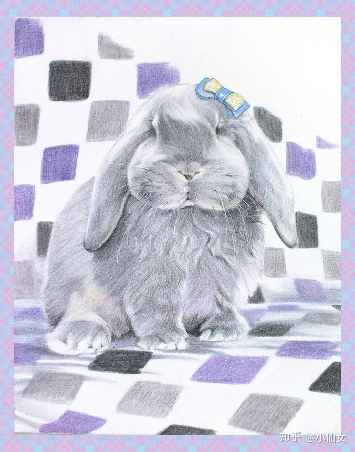 详解彩色铅笔画之垂耳兔的画法