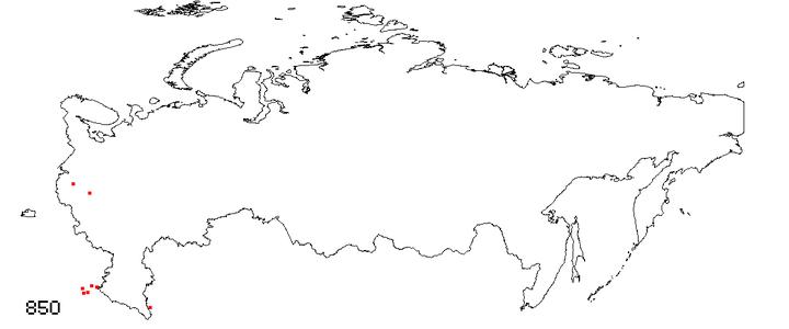 俄罗斯地图空白轮廓图图片