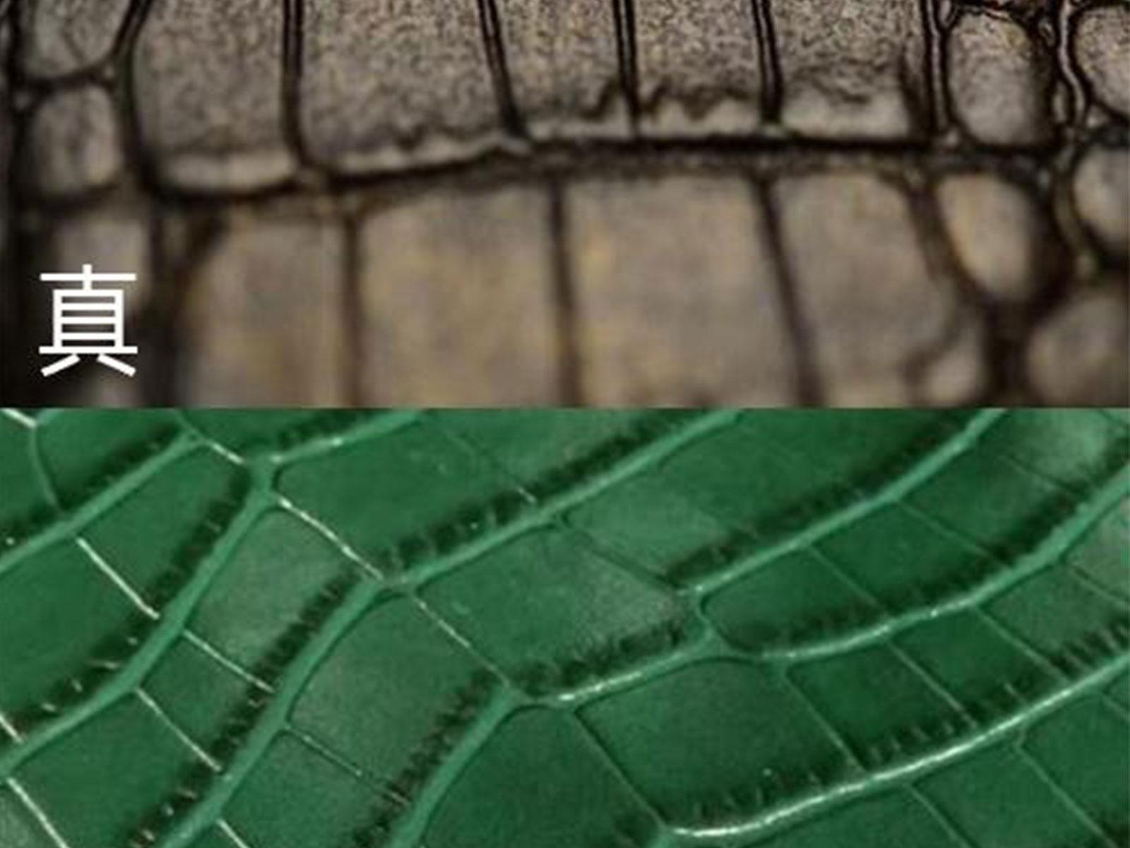 真假鳄鱼皮图片对比选购鳄鱼皮表带的小技巧