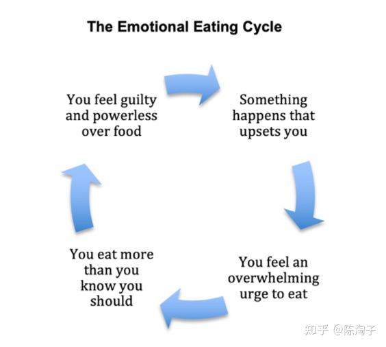 进食障碍ED|如何停止-情绪化进食 - 知乎