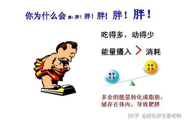 肥胖与疾病的关系和形成肥胖原因