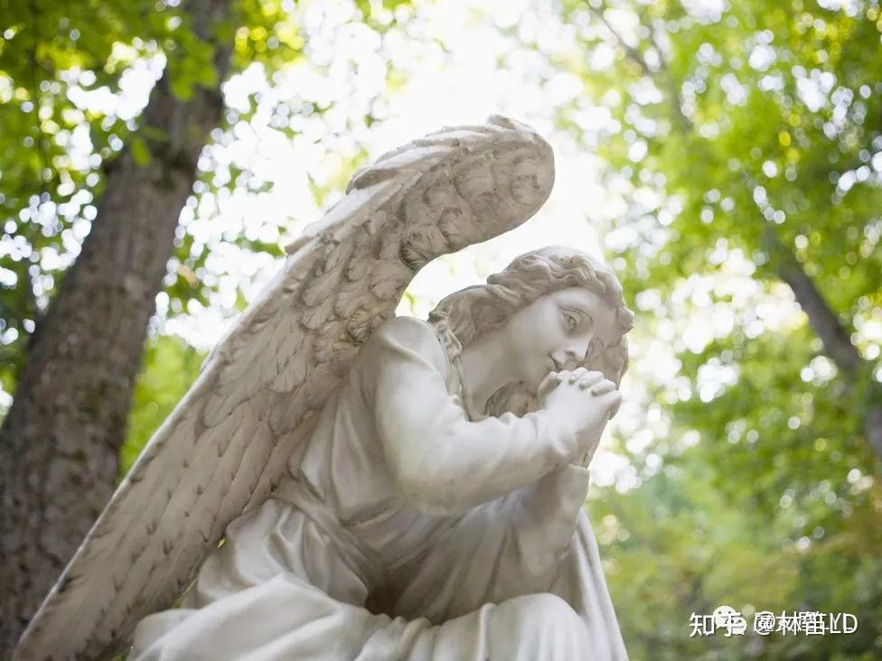 继续来八炽天使们——还有几位圣天使要了解 - 知乎