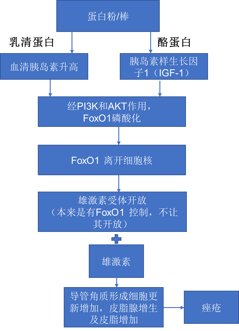 胰岛素生长因子对照表图片