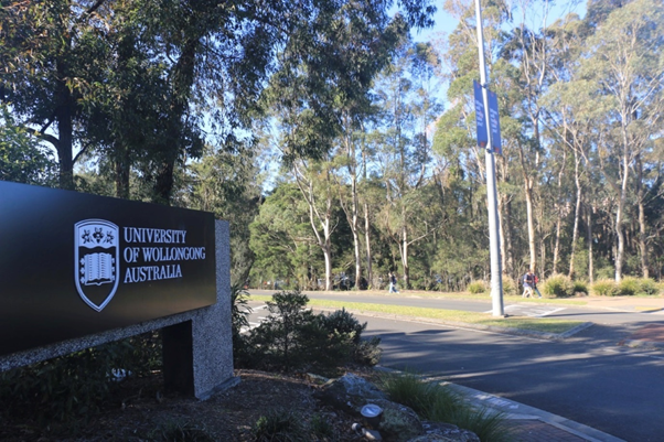 卧龙岗大学(卧龙岗大学学院)