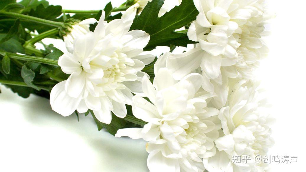 一波未平一波又起沉痛悼念汴州李女士及其宝贝女儿