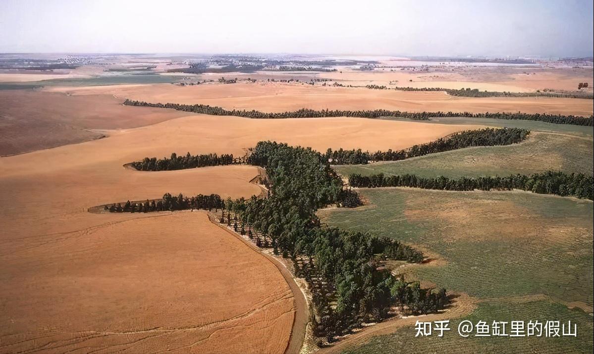 敦煌2万亩防沙林被毁三代治沙人心血覆灭滥砍乱伐危害有多大