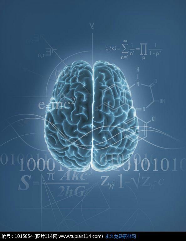 人脑在做反向传播(back propagation)意味着什