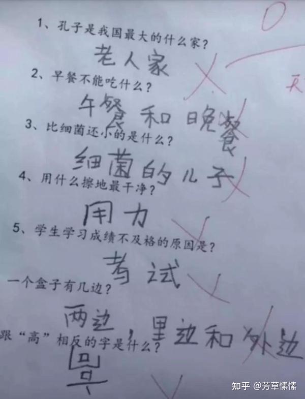 辅导孩子写作业是渡劫 专家建议 取消小学生家庭作业 小学生和家长的春天要来了吗 知乎