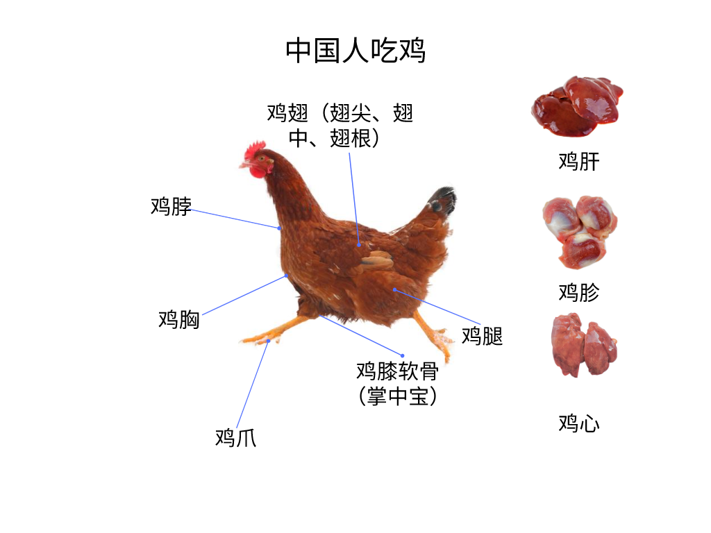 鸡的各种部位图片