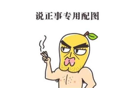 本人一直和未来都想从事软件测试,软件测试测