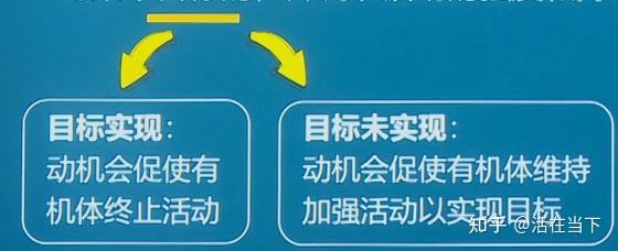 普通心理学-动机 - 知乎
