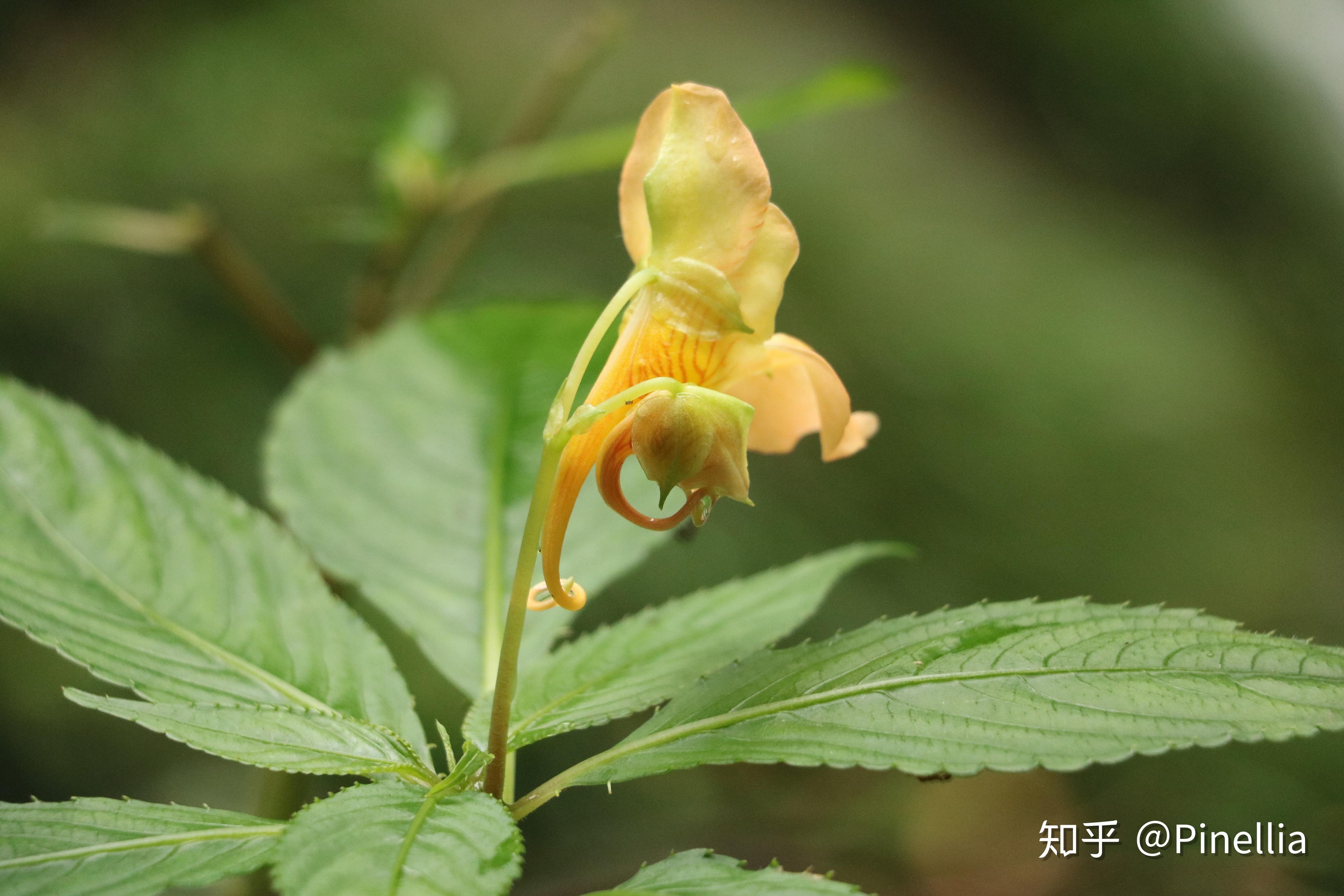 自然:足迹// 山城秋色