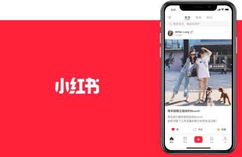 产品分析小红书社交电商的未来趋势