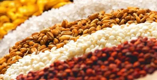 山寨五粮液五粮液原本有个阳春白雪的名字——姚子雪曲.