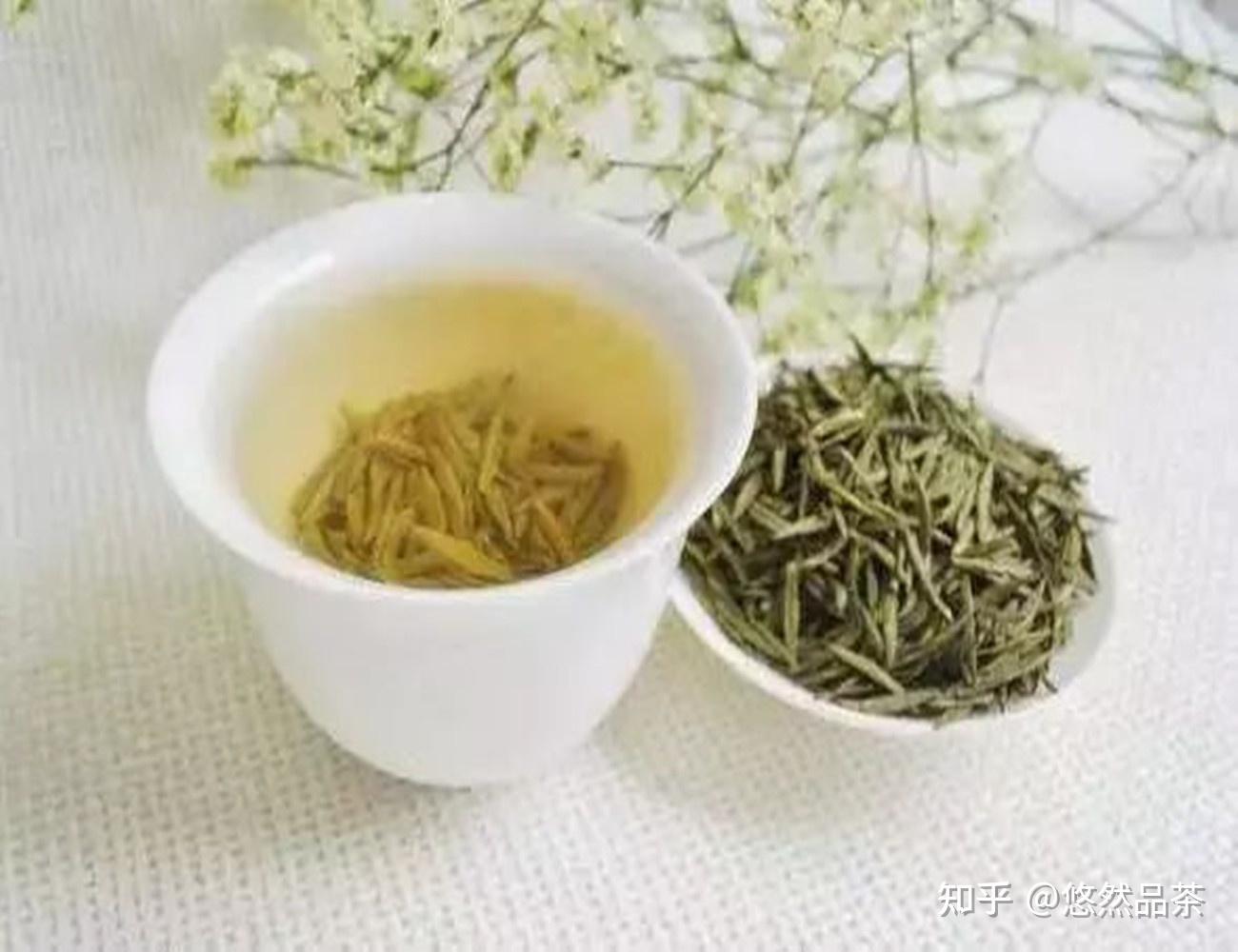 细说黄茶的“闷黄”工艺，由绿变黄，茶叶经历了怎样的历练过程 - 知乎