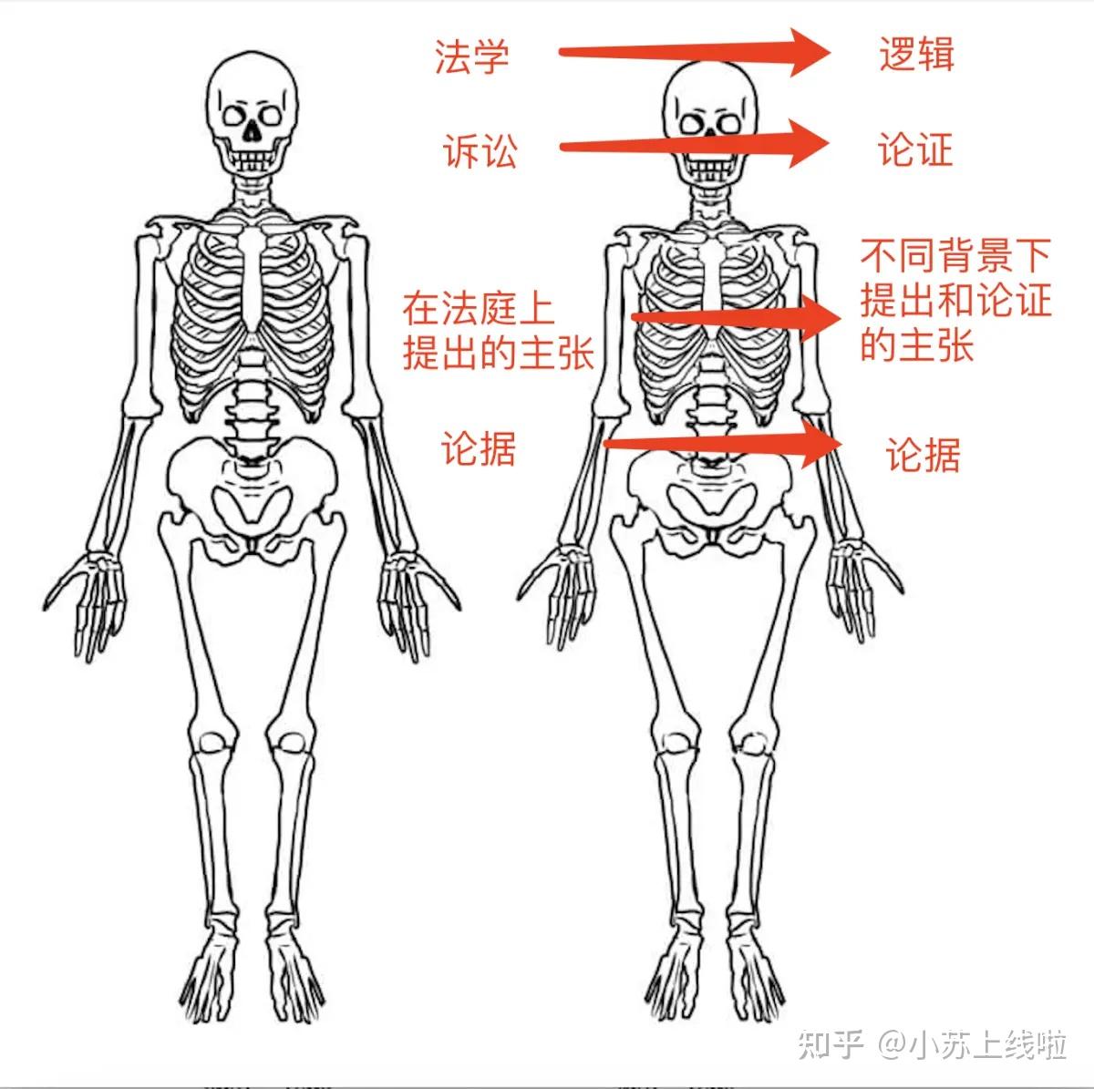 一图理解图尔敏《论证的使用》导言在讲什么？ - 知乎