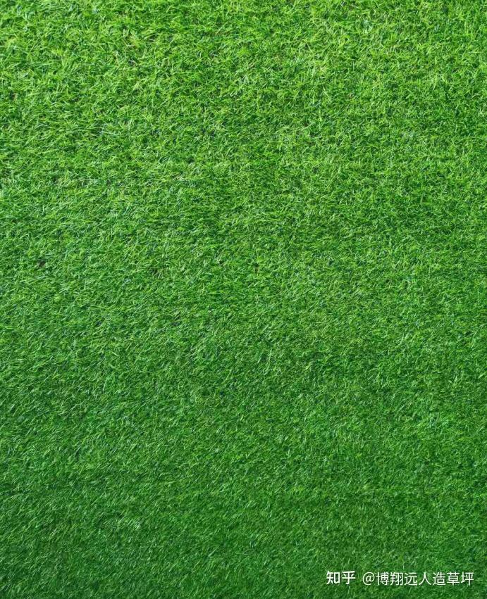 围挡绿色草皮详细测评